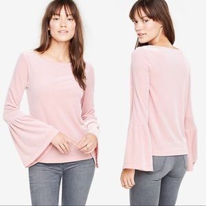 🆕 Ann Taylor Velvet Flare Sleeve Top XXS